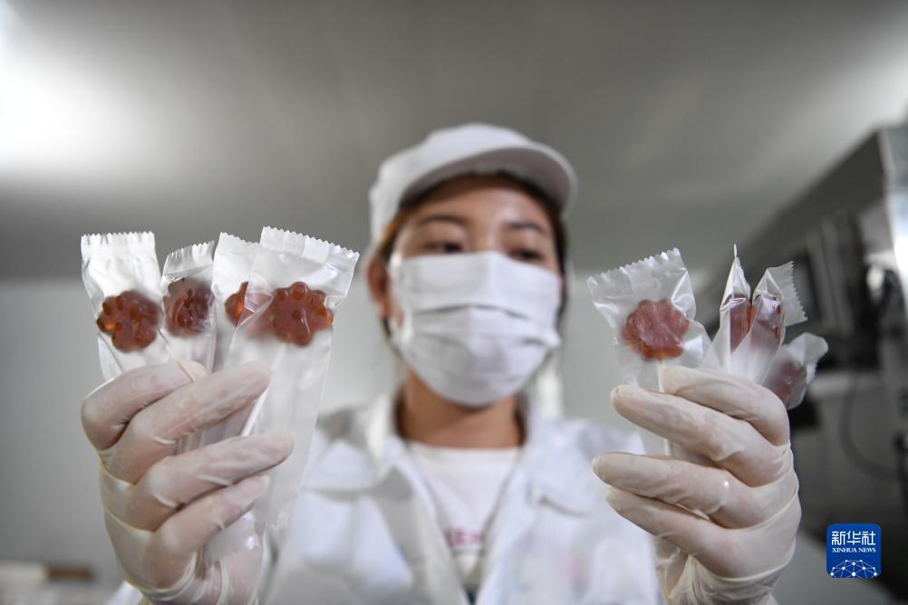 奥门新匍京官网